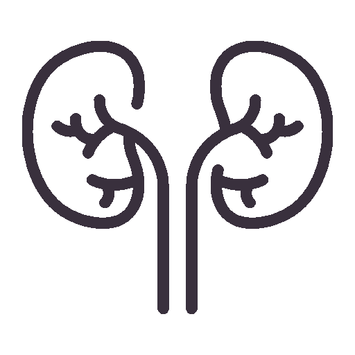 kidney-health-test-derry-londonderry-blood-test